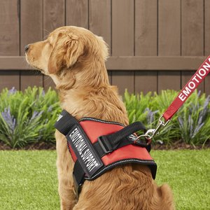 Industrial Puppy Emotional Support Animal ESA Reflective Dog Harness & Leash, Red, Medium: 24 to 29-in chest