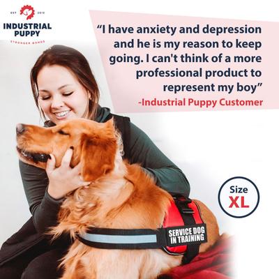 Show full view: Industrial Puppy Emotional Support Animal ESA Reflective Dog Harness & Leash, Red, Small: 21 to 26-in chest slide 2 of 11