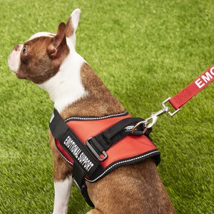 Industrial Puppy Emotional Support Animal ESA Reflective Dog Harness & Leash, Red, Small: 21 to 26-in chest