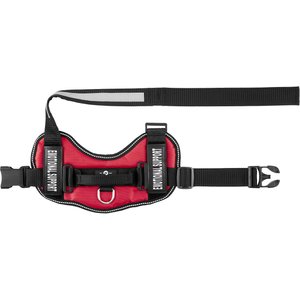 Industrial Puppy Emotional Support Animal ESA Reflective Dog Harness & Leash, Red, Small: 21 to 26-in chest