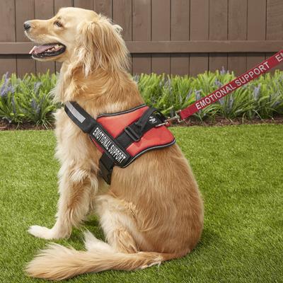 Show full view: Industrial Puppy Emotional Support Animal ESA Reflective Dog Harness & Leash, Red, X-Large: 30 to 39-in chest slide 7 of 12