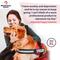 Show in main carousel: Industrial Puppy Emotional Support Animal ESA Reflective Dog Harness & Leash, Red, X-Small: 16 to 22.5-in chest slide 2 of 11