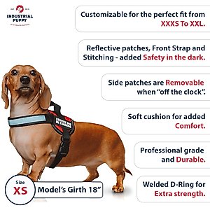 Industrial Puppy Emotional Support Animal ESA Reflective Dog Harness & Leash, Red, X-Small: 16 to 22.5-in chest