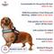 Show in main carousel: Industrial Puppy Emotional Support Animal ESA Reflective Dog Harness & Leash, Red, X-Small: 16 to 22.5-in chest slide 3 of 11