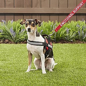 Industrial Puppy Emotional Support Animal ESA Reflective Dog Harness & Leash, Red, X-Small: 16 to 22.5-in chest