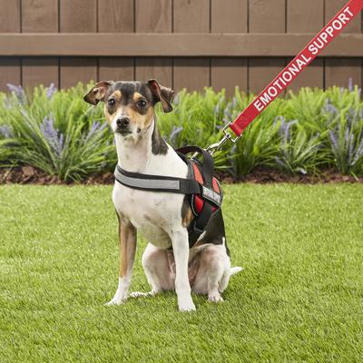 Show full view: Industrial Puppy Emotional Support Animal ESA Reflective Dog Harness & Leash, Red, X-Small: 16 to 22.5-in chest slide 6 of 11