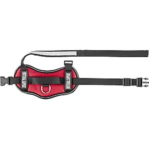 Industrial Puppy Emotional Support Animal ESA Reflective Dog Harness & Leash, Red, X-Small: 16 to 22.5-in chest