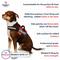 Show in main carousel: Industrial Puppy Emotional Support Animal ESA Reflective Dog Harness, Red, Medium: 24 to 29-in chest slide 4 of 10