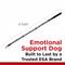 Show in main carousel: Industrial Puppy Emotional Support Dog ESA Nylon Reflective Dog Leash, Black, 4-ft long, 1-in wide slide 3 of 6