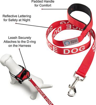 Show full view: Industrial Puppy Emotional Support Dog ESA Nylon Reflective Dog Leash, Black, 4-ft long, 1-in wide slide 5 of 6