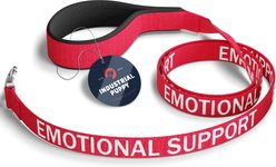 Industrial Puppy Emotional Support Dog ESA Nylon Reflective Dog Leash, Red, 4-ft long, 1-in wide