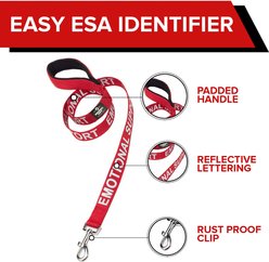 Industrial Puppy Emotional Support Dog ESA Nylon Reflective Dog Leash, Red, 4-ft long, 1-in wide slide 2 of 6