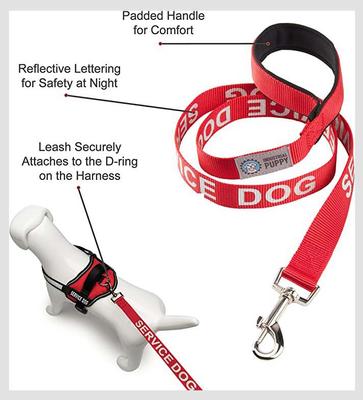 Show full view: Industrial Puppy Emotional Support Dog ESA Nylon Reflective Dog Leash, Red, 4-ft long, 1-in wide slide 6 of 7