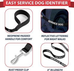 Industrial Puppy Nylon Reflective Service Dog Leash, Black, 4-ft long, 1-in wide slide 2 of 4