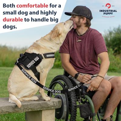 Show full view: Industrial Puppy Nylon Reflective Service Dog Leash, Black, 4-ft long, 1-in wide slide 3 of 6