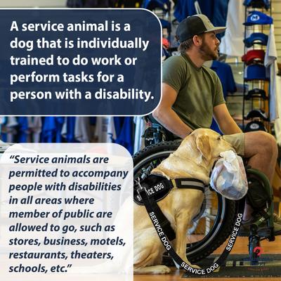 Show full view: Industrial Puppy Nylon Reflective Service Dog Leash, Black, 4-ft long, 1-in wide slide 4 of 6