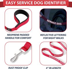 Industrial Puppy Nylon Reflective Service Dog Leash, Red, 4-ft long, 1-in wide slide 2 of 4