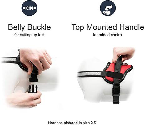 Show full view: Industrial Puppy Reflective Hook & Loop Strap Dog Harness, Red, Medium slide 3 of 9