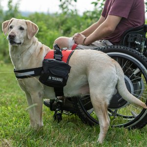 Industrial Puppy Reflective Service Dog Harness & Detachable Backpacks, Black, X-Large: 30 to 39-in chest