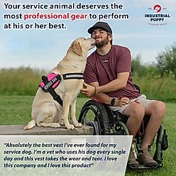 Industrial Puppy Reflective Service Dog Harness & Leash, Pink, Small: 21 to 26-in chest slide 2 of 7