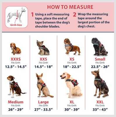 Show full view: Industrial Puppy Reflective Service Dog Harness & Leash, Pink, Small: 21 to 26-in chest slide 5 of 11