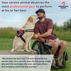 Industrial Puppy Reflective Service Dog Harness & Leash, Red, Medium: 24 to 29-in chest slide 2 of 8