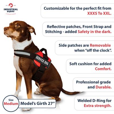 Show full view: Industrial Puppy Reflective Service Dog Harness & Leash, Red, Medium: 24 to 29-in chest slide 4 of 12