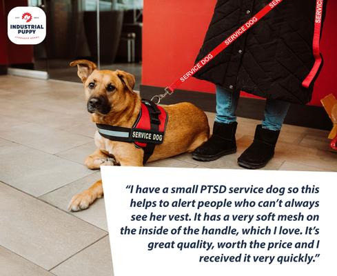 Show full view: Industrial Puppy Reflective Service Dog Harness & Leash, Red, Medium: 24 to 29-in chest slide 8 of 12