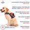 Show in main carousel: Industrial Puppy Reflective Service Dog Harness & Leash, Red, X-Large: 30 to 39-in chest slide 4 of 12