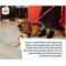 Show in main carousel: Industrial Puppy Reflective Service Dog Harness & Leash, Red, X-Large: 30 to 39-in chest slide 8 of 12