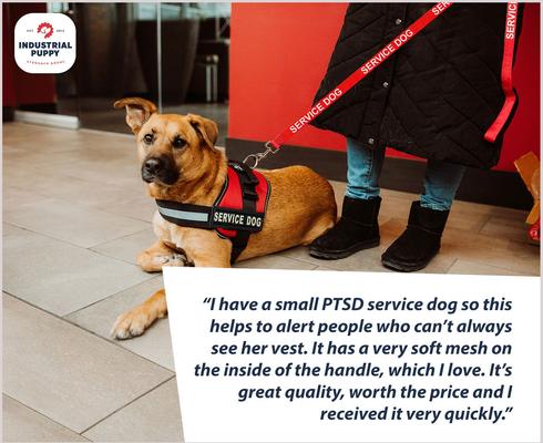 Show full view: Industrial Puppy Reflective Service Dog Harness & Leash, Red, X-Large: 30 to 39-in chest slide 8 of 12