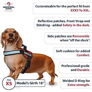 Industrial Puppy Reflective Service Dog Harness & Leash, Red, X-Small: 16 to 22.5-in chest