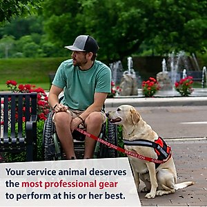 Industrial Puppy Reflective Service Dog Harness & Leash, Red, X-Small: 16 to 22.5-in chest