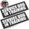 Show in main carousel: Industrial Puppy Service Dog In Training Patches, Large, 2 count slide 1 of 7