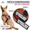 Show in main carousel: Industrial Puppy Service Dog In Training Patches, Large, 2 count slide 3 of 7