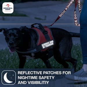 Industrial Puppy Service Dog In Training Patches, Small, 2 count