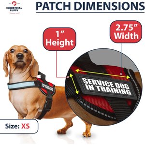 Industrial Puppy Service Dog In Training Patches, X-Small, 2 count