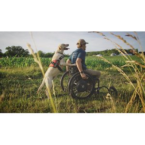 Industrial Puppy Service Dog Patches, 2 count, X-Small