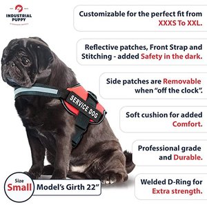 Industrial Puppy Service Dog Vest Harness with 2 Reflective Service Dog Patches & 50 ADA Cards, Purple, Small
