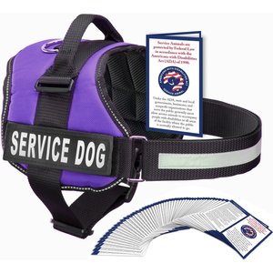 Industrial Puppy Service Dog Vest Harness with 2 Reflective Service Dog Patches & 50 ADA Cards, Purple, X-Large