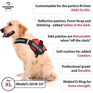 Industrial Puppy Service Dog Vest Harness with 2 Reflective Service Dog Patches & 50 ADA Cards, Purple, X-Large