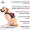 Show in main carousel: Industrial Puppy Service Dog Vest Harness with 2 Reflective Service Dog Patches & 50 ADA Cards, Purple, X-Large slide 3 of 7