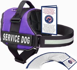 Industrial Puppy Service Dog Vest Harness with 2 Reflective Service Dog Patches & 50 ADA Cards, Purple, X-Small