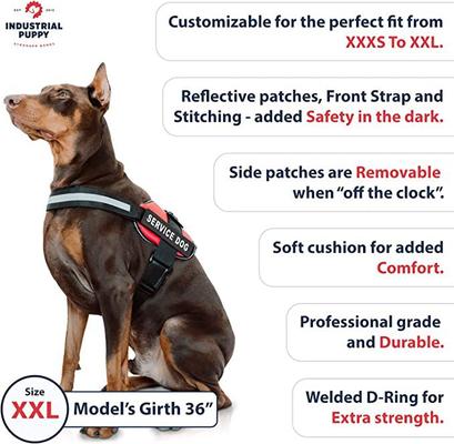 Show full view: Industrial Puppy Service Dog Vest Harness with 2 Reflective Service Dog Patches & 50 ADA Cards, Purple, XX-Large slide 3 of 7