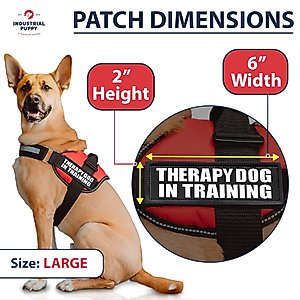 Industrial Puppy Therapy Dog In Training Harness Dog Patch, 2 count