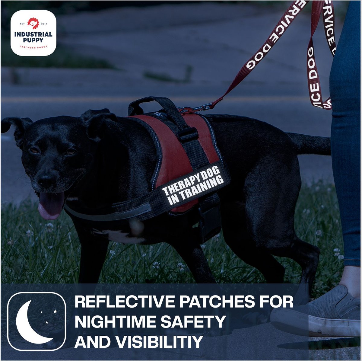 Industrial Puppy Therapy Dog In Training Harness Dog Patch