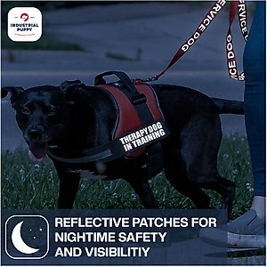 Industrial Puppy Therapy Dog In Training Harness Dog Patch, 2 count