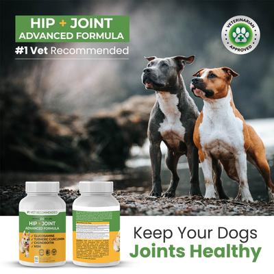 Show full view: Infinite Pet Life Hip & Joint Advanced Formula Beef Liver Flavor Dog Supplement, 90 count slide 8 of 13