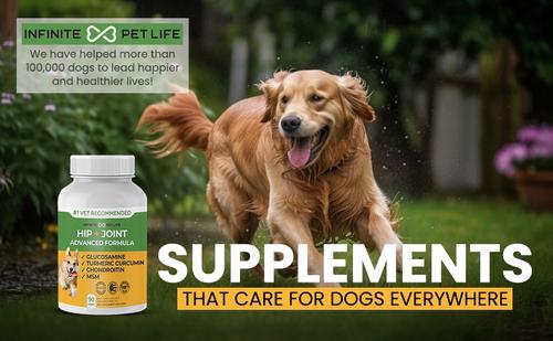 Show full view: Infinite Pet Life Hip & Joint Advanced Formula Beef Liver Flavor Dog Supplement, 90 count slide 9 of 13