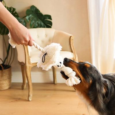 Show full view: Injoya Boba Time Cat & Dog Snuffle Toy, Ivory, Small slide 5 of 9